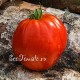Сорт томата Красное масляное сердце (Red Butter Heart), США
