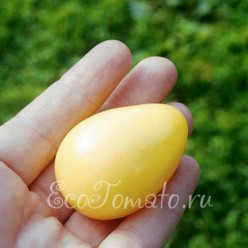 Old Ivory Egg (Олд ивори эг)
