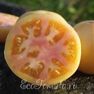 Сорт томата Розовый Грейпфрут