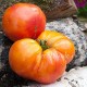 Сорт томата Amazing Grace (Амазинг грейс, Удивительная Грейс)