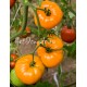 Сорт томата Apricot Brandywine (Абрикосовый Брендивайн), США