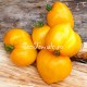 Сорт томата Гребешки Желтые