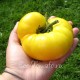 Сорт томата Казахстанский желтый