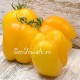 Сорт томата Yellow Bell Pepper (Желтый перец), США
