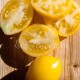 Сорт томата Лимон-Лиана