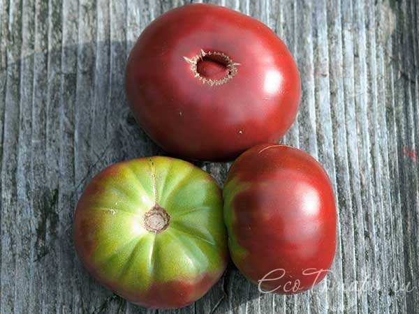 Почему помидоры вызревают не до конца, плечики остаются зеленые