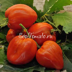 Big Dolly Red (Большая Красная Кукла)