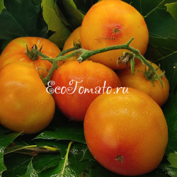 Confiture D.Abricot (Абрикосовый Конфитюр)