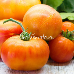 Marchenfrucht (МарчерФрукт, Сказочный Фрукт)