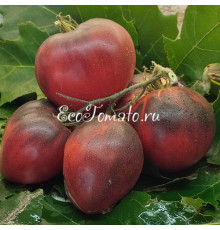 Клубничный Сержант