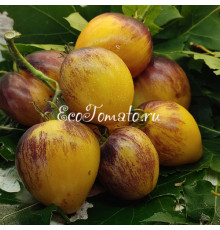 Очень сладкий блюз