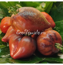 Салют Виктории