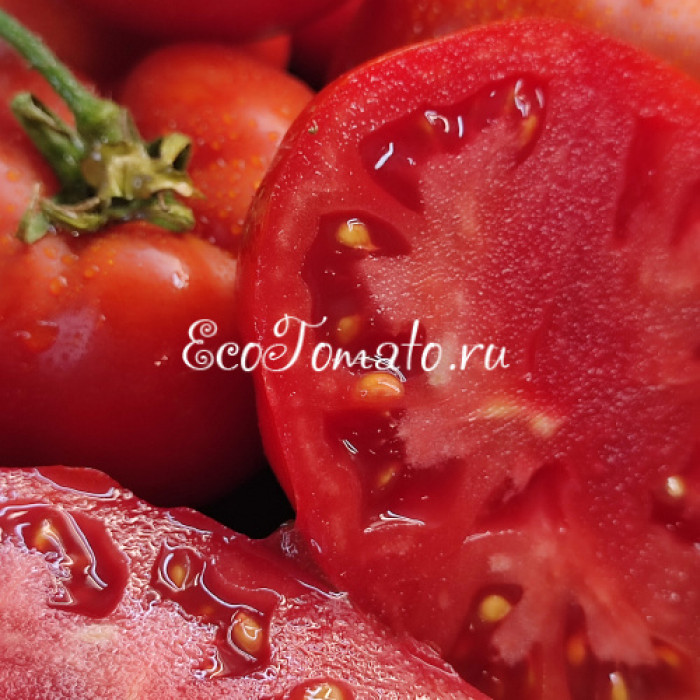 Bush Beefsteak (Буш Бифстик), США