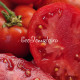 Bush Beefsteak (Буш Бифстик), США