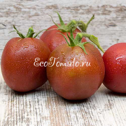 Dwarf Aussie Drop (Дварф Австралийская Капля)