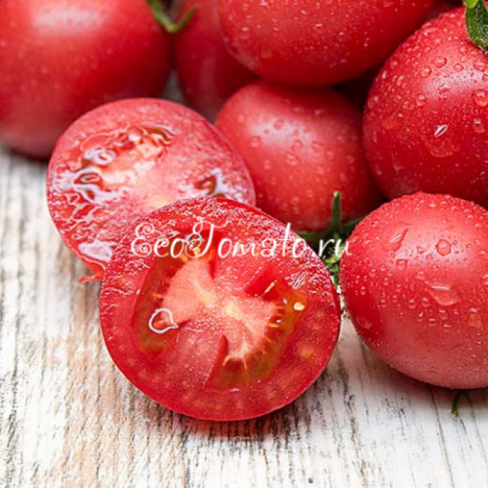 Dwarf Bendigo Drop (Дварф Капля Бендиго)