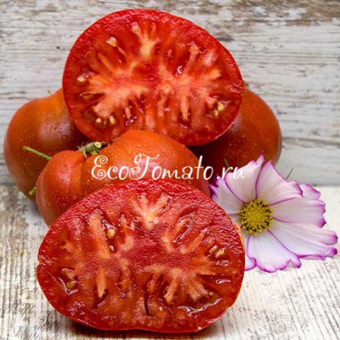 Dwarf Buddy's heart (Дварф Баддис Хеарт/ Гном Сердце Бадди)