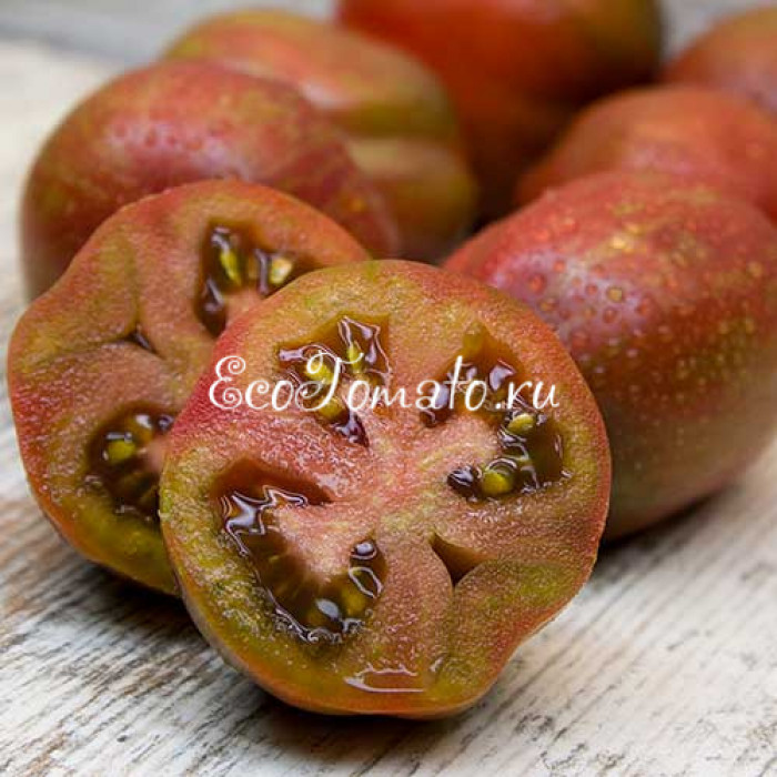 Dwarf Cherokee Tiger Purple Striped (Гном Чероки Тигр Пурпурный Полосатый)