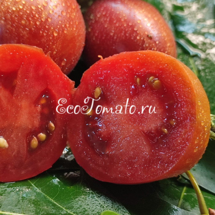 Dwarf Dean's whiskey plum (Дварф Сливовый Виски Дина)