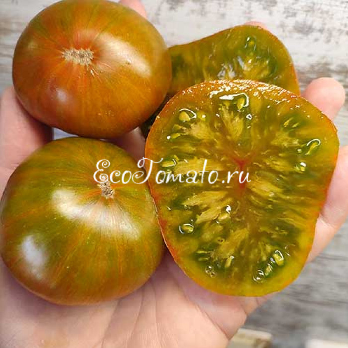 Dwarf Funky Viper (Дварф Танцующая Гадюка)