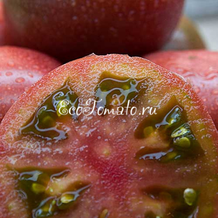 Dwarf Hazy's Dream (Дварф Мечта Хейзи)