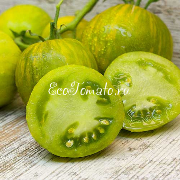 Dwarf Mint Streak (Мятная полоска) Dwarf Mint Streak (Мятная полоска)