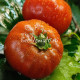 Dwarf Saxon donuts (Дварф Саксонские Пончики)