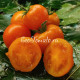 Dwarf Sweet Satsuma (Дварф Сладкая Сатцума)