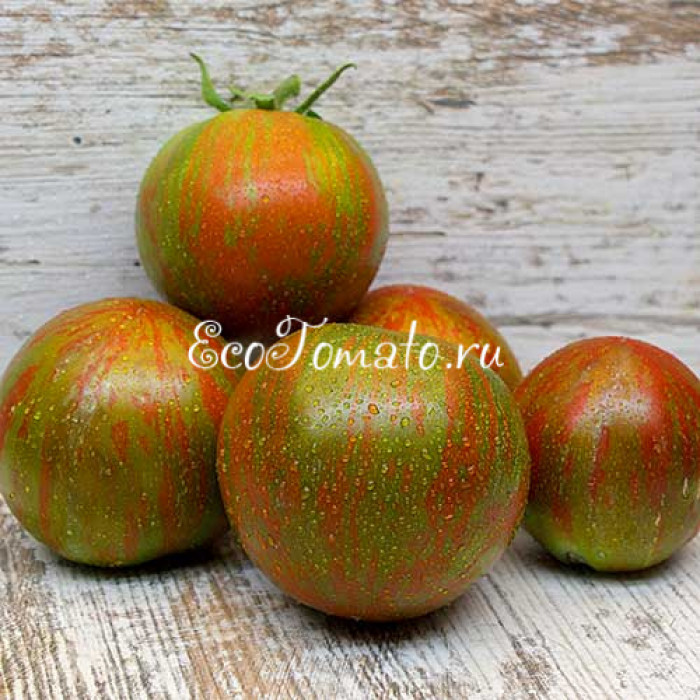 Dwarf Round Robin (Дварф Раунд Робин/Гном Круглый Робин)