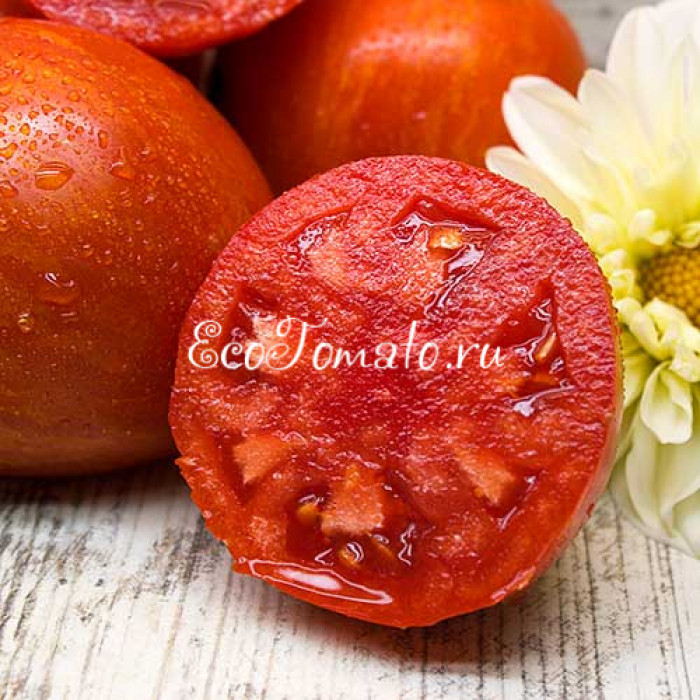 Dwarf Speckled Heart (Дварф Пестрое сердце, Дварф Спиклед Хеарт)