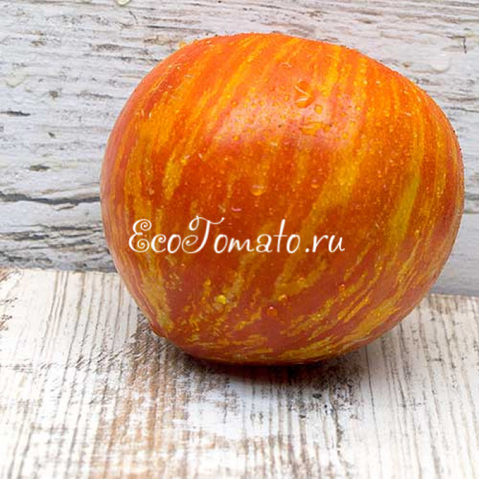 Dwarf Speckled Heart (Дварф Пестрое сердце, Дварф Спиклед Хеарт)