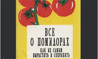 Все о помидорах. Как их самим вырастить и сохранить.