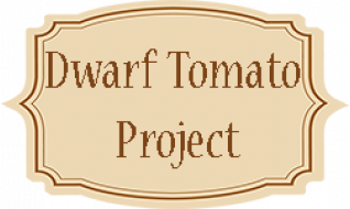 Dwarf Tomato Project (Проект Гном Томатный)