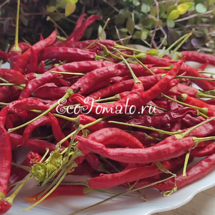 Dream Catcher White x Thunder Mountain Longhorn (TMLH) (Крест Ловец снов Белый и Молниеносный горный длиннорог) 