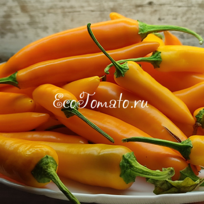 Dutch Chili yellow (Датч чили желтый)
