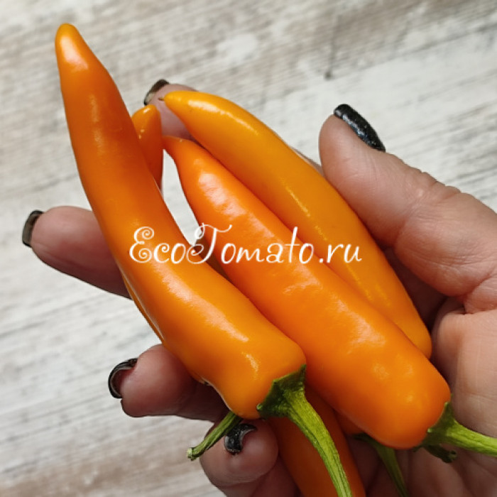 Dutch Chili yellow (Датч чили желтый)