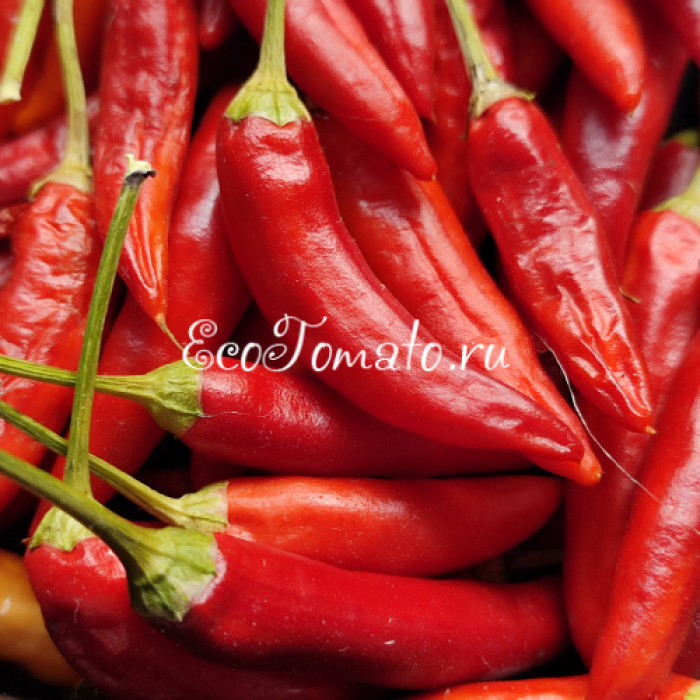 Fiesta green (Фиеста Зеленая)