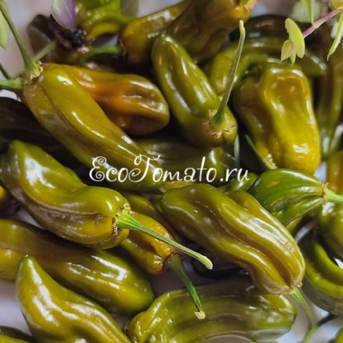 Habanero Mustard Buhet (Хабанеро Горчичный Бульон, Хабанеро Мастад Бюхет)