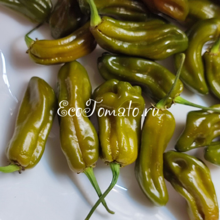 Habanero Mustard Buhet (Хабанеро Горчичный Бульон, Хабанеро Мастад Бюхет)