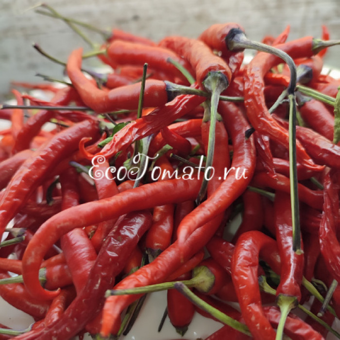 Hypnos (Гипноз), Бразилия