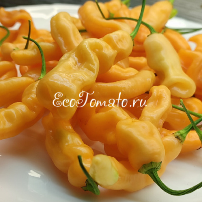 Lightning Habanero Peach (Хабанеро Персиковая Молния)