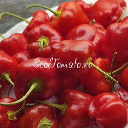 Malawi Peppadew (Малави Пеппадью)