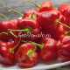Malawi Peppadew (Малави Пеппадью)