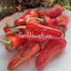 Mattapeno Jalapeno (Маттапеньо Халапеньо)