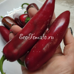 Monster Jalapeno (Монстер Халапено)