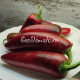 Monster Jalapeno (Монстер Халапено)