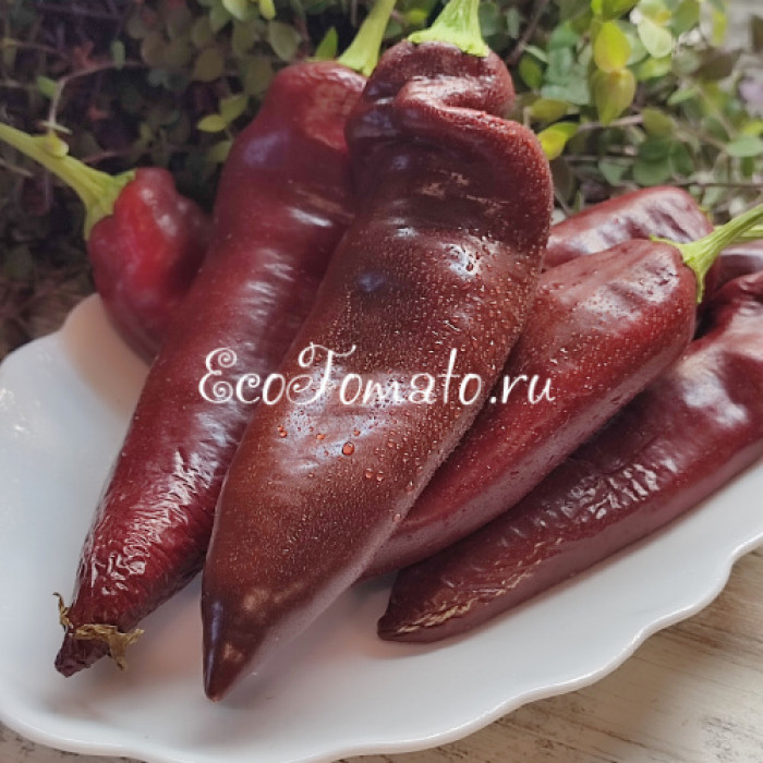 NuMex Joe E. Parker Pepper (Нумекс Джо Е.Паркера)