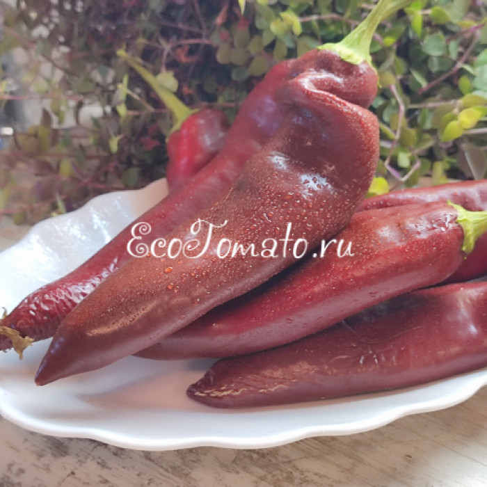 NuMex Joe E. Parker Pepper (Нумекс Джо Е.Паркера)