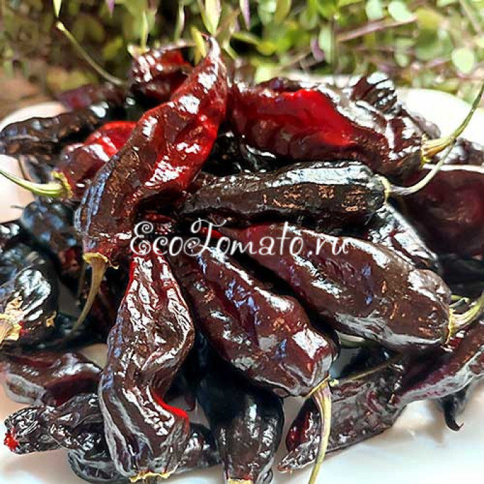 Pimenta Leopard (Пимента Леопард)