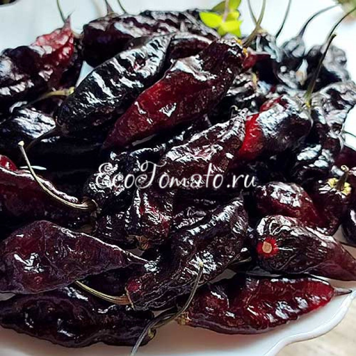 Pimenta Leopard (Пимента Леопард)